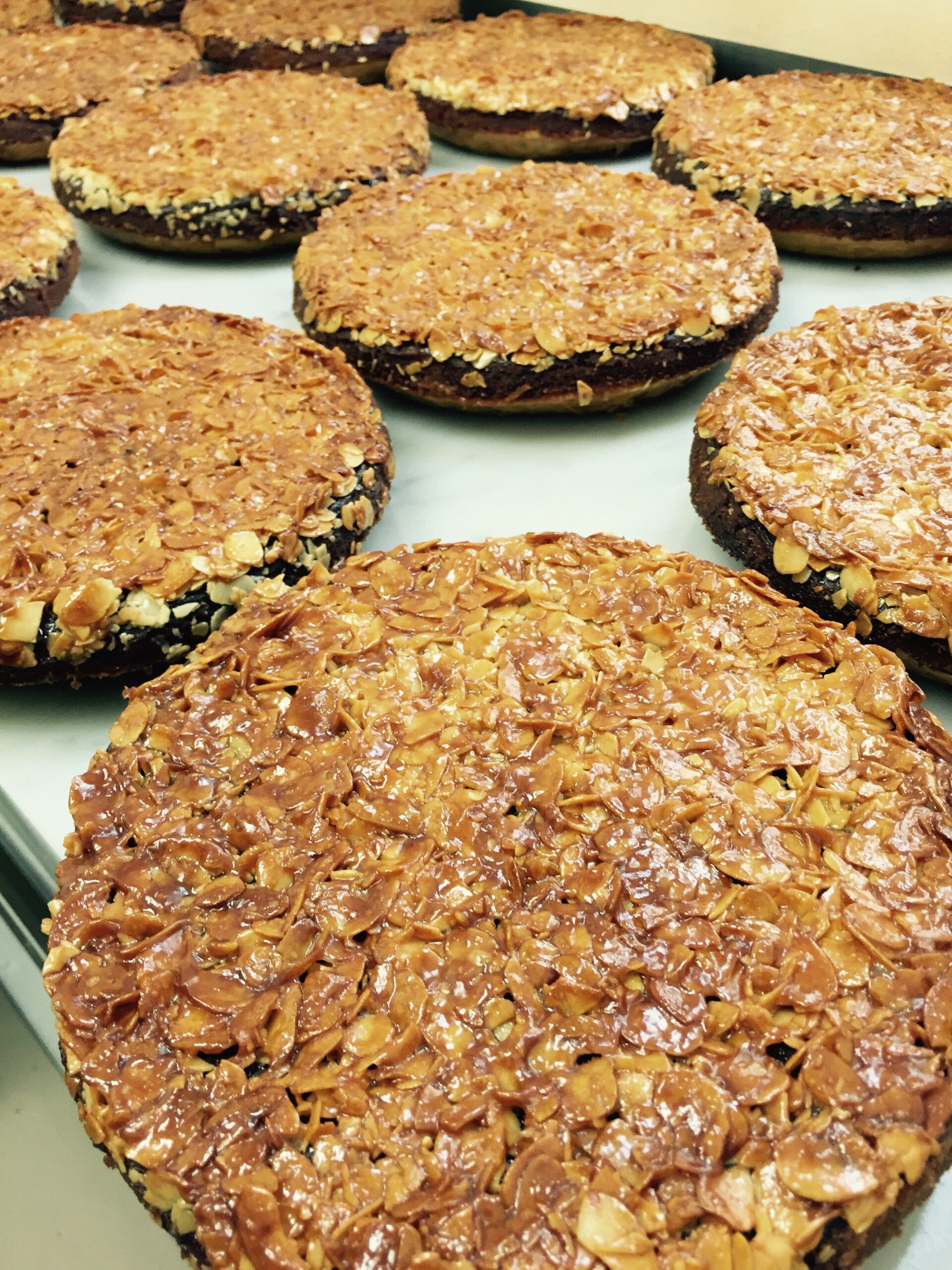 おはようございます。