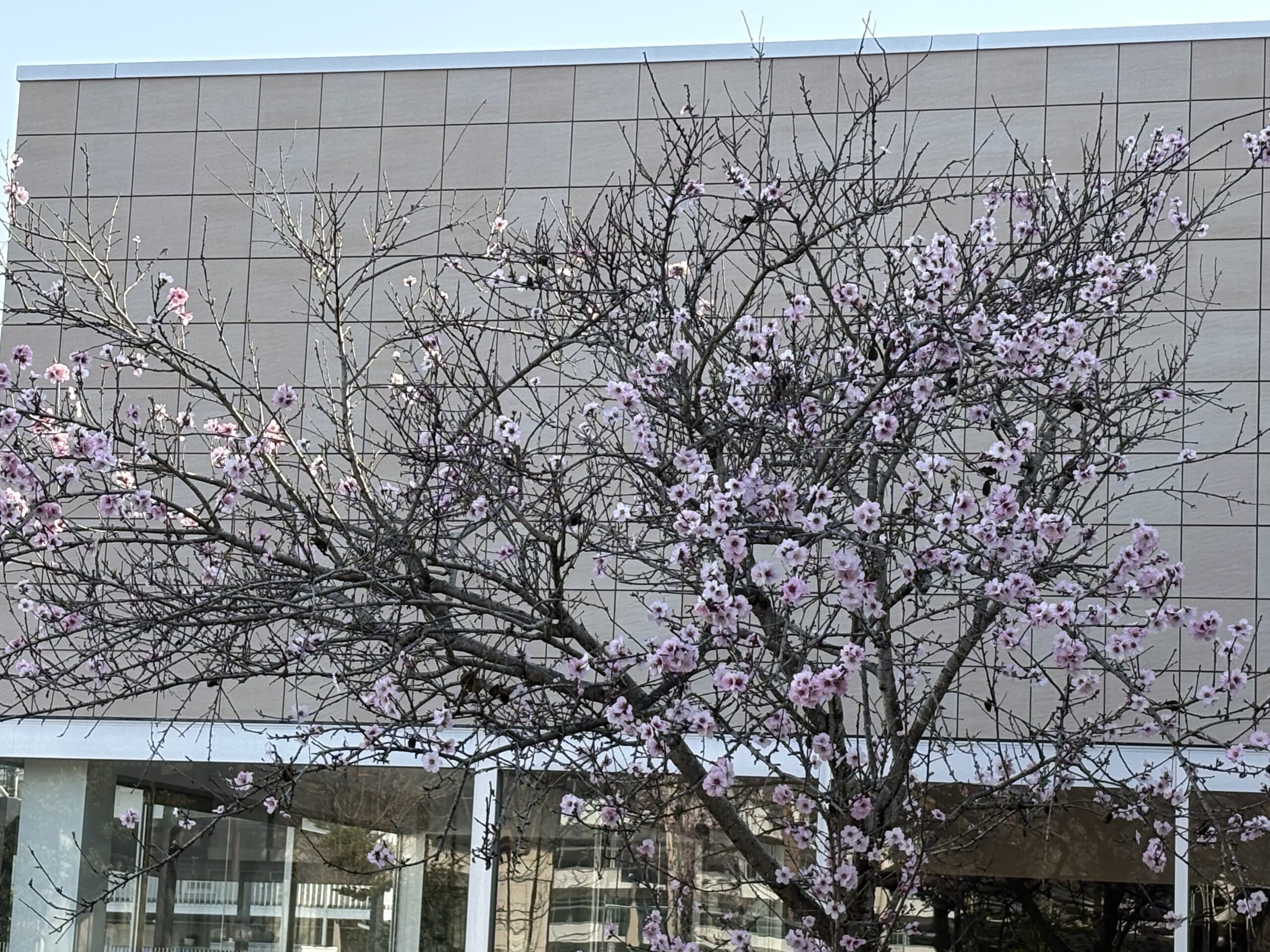 ４月の定休日のお知らせです